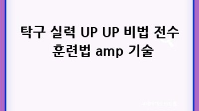 탁구라켓 완전정복🏓: 선택부터 관리까지 A to Z!
