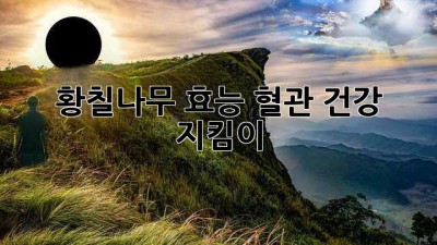 황칠나무 효능: 혈관 건강 지킴이