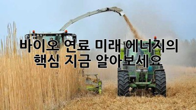 바이오 연료: 미래 에너지의 핵심, 지금 알아보세요!