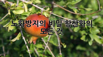 노화방지의 비밀: 항산화의 모든 것
